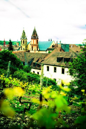 Jugendherberge Würzburg, Würzburg